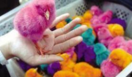 色色色色视频,一场视觉与心理的震撼之旅